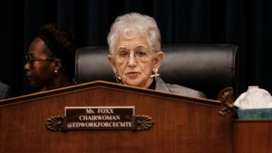 Photo of Virginia Foxx Rejects ‘White Folks’ Line From Democrat