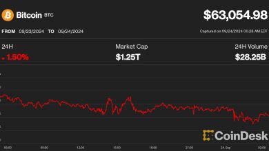 Photo of BTC Little Changed as China Announces Stimulus; Traders Say Harris’ Win Unlikely to be Bearish