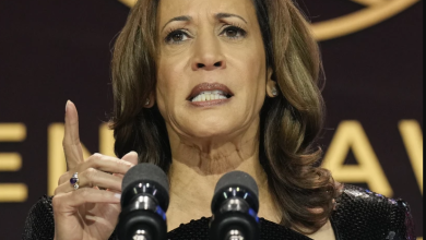 Photo of Black Operatives Are Enraged Over How Kamala Harris’ Campaign Is Spending Money