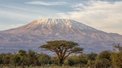 Photo of The Kilimanjaro Hike Raising Awareness for Sickle Cell