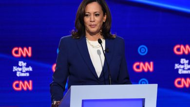 Photo of Why Is Support For VP Kamala Harris Growing So Fast?