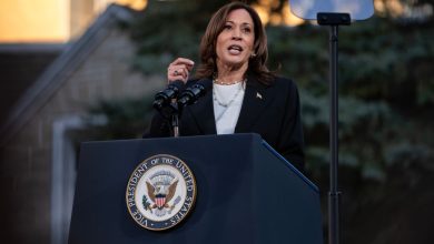 Photo of Kamala Harris’ Racial Identity Questions Reflect Narrow Approach