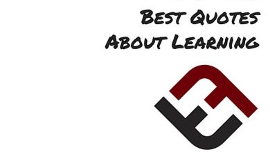 Photo of Top 50 Best Quotes About Learning