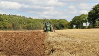 Photo of Scroll (SCR) Airdrop Allocation Met With Dismay From Farmers