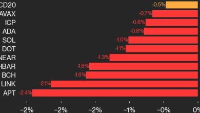 Photo of CoinDesk 20 Performance Update: APT Drops 2.4%, Leading Index Lower