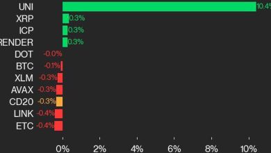 Photo of CoinDesk 20 Performance Update: UNI Surges 10.4%, While Index Trades Mostly Flat