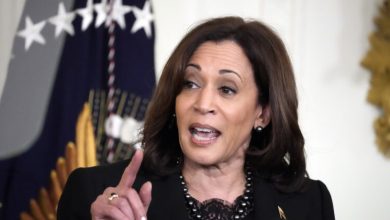 Photo of ‘Blacklash’ Over Kamala Harris Campaign Spending On Al Sharpton, Beyoncé, Megan Thee Stallion, And Other Celebs