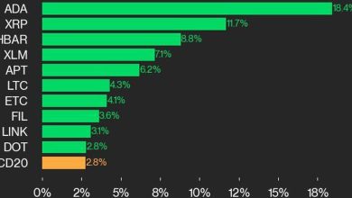 Photo of CoinDesk 20 Performance Update: ADA Surges 18.4%, Leading Index Higher