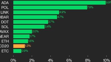 Photo of CoinDesk 20 Performance Update: ADA Gains 9.9%, Leading Index Higher from Thursday