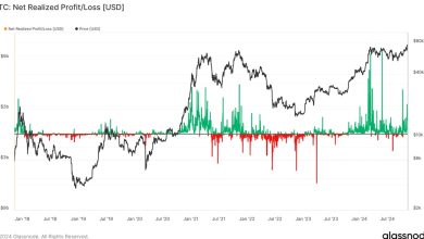 Photo of Why Bitcoin Will Soar Above Its Fresh Record: Van Straten