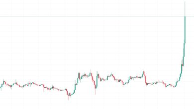 Photo of XRP Skyrockets Past $1 as SEC Faces Legal Troubles And Favourable Regulatory Shift Looms