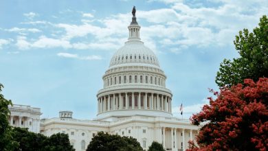 Photo of Republicans Win House Majority, Completing Trifecta in 2024 Election That Saw Donald Trump Win Second Term