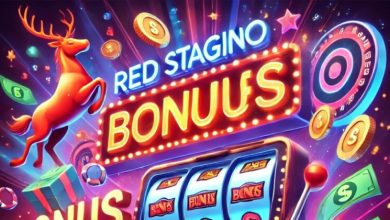 Photo of Bonus suggestions at Red Stag Casino?