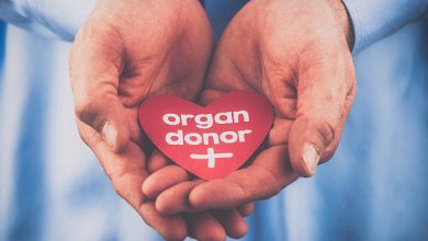 Photo of Your Guide to Becoming a Living Organ Donor