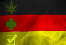 Photo of Alternatives to cannabis strains from German pharmacies- Alchimia Grow Shop