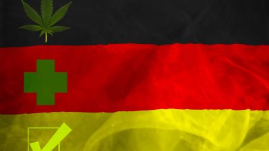 Photo of Alternatives to cannabis strains from German pharmacies- Alchimia Grow Shop