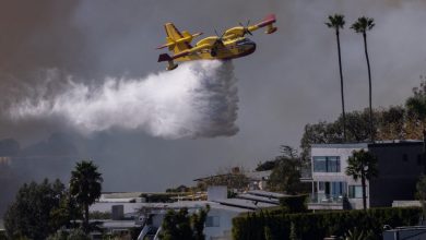 Photo of The drone pilot who took out an LA firefighting plane pleads guilty to escape jail