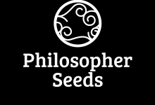 Photo of Philosopher Seeds new strains for 2025- Alchimia Grow Shop