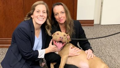 Photo of Georgia man sentenced to nearly 500 years for facilitating dog fights, abusing animals