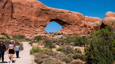 Photo of Trump job cuts could throw national parks and forests into ‘staffing chaos’