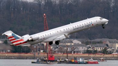 Photo of Trump begins firings of FAA air traffic control staff just weeks after fatal DC plane crash