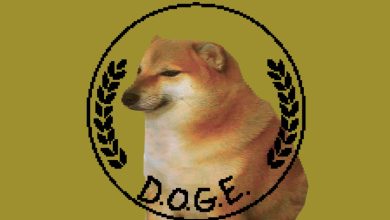 Photo of Amy Gleason officially named as DOGE administrator