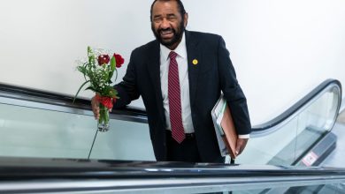 Photo of Rep. Al Green Needs To Be Protected At All Costs