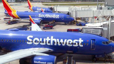 Photo of Woman strips naked and walks screaming down the aisle on Southwest flight to Phoenix