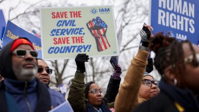 Photo of Federal workers fight back as Trump dismantles their work: ‘They’ve radicalized me’