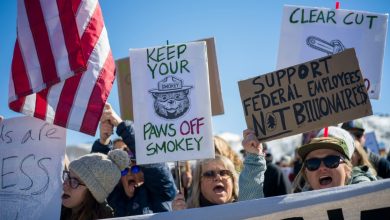 Photo of Protesters flood national parks to express outrage over job cuts