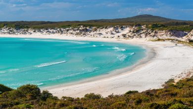 Photo of Australian surfer feared dead after shark attack, police say