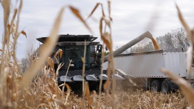 Photo of ‘Bear with me,’ Trump says as both farmers and consumers brace for tariff effects