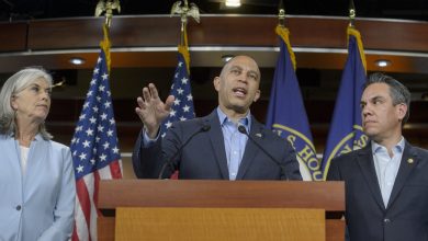 Photo of Democrats clashed over their shutdown strategy. But the party’s identity crisis runs far deeper