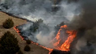 Photo of Video shows wildfires burning across Oklahoma