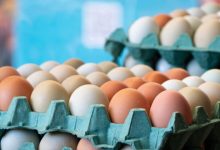 Photo of Egg Prices Are So High, The U.S. Justice Department Is Investigating