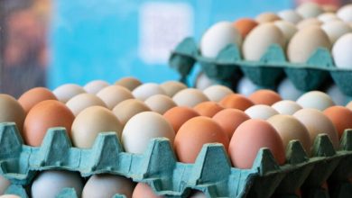 Photo of Egg Prices Are So High, The U.S. Justice Department Is Investigating