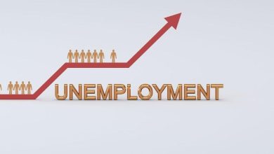 Photo of True unemployment rate soars past 24% — Black workers hit hardest | Business