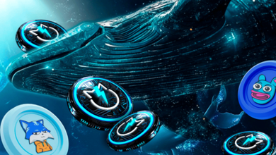 Photo of Why Crypto Whales Massively Buying These 3 Top Meme Coins