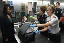 Photo of Knowing Your Border Rights: An Essential Guide For All Travelers