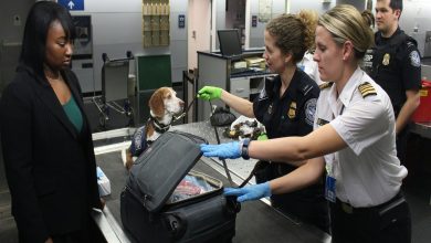 Photo of Knowing Your Border Rights: An Essential Guide For All Travelers