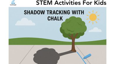 Photo of 50 Simple STEM Activities For Kids – TeachThought