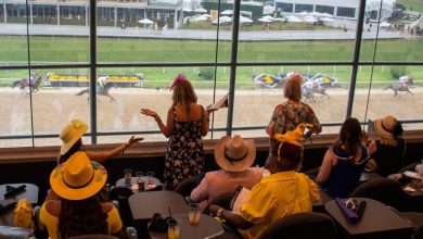 Photo of Baltimore Scene by Sloane: 2025 Black-Eyed Susan Day