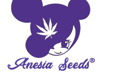 Photo of Anesia Seeds, super powerful high quality genetics- Alchimia Grow Shop