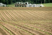 Photo of How Seed Banks Are Impacting the Global Agricultural Market