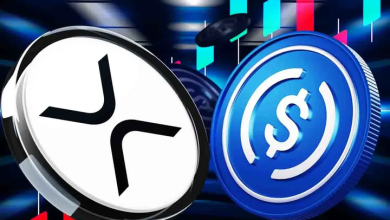 Photo of XRP Lawyer Warns That Other Crypto Laws Unlikely To Pass If Stablecoin Bill Fails