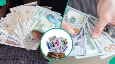 Photo of Naira Appreciates in Black Market, Narrows Gap With Official Window