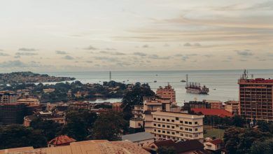 Photo of 8 African Countries Offering Citizenship to African Americans – BlackDoctor.org