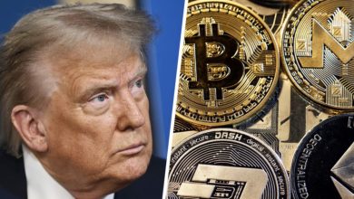 Photo of How much money has Trump made from crypto ventures? Investigative reporter lays it out