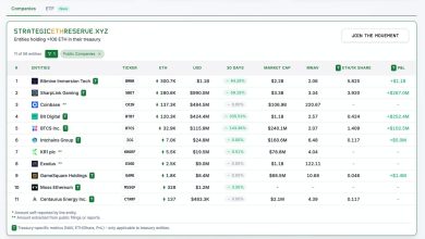 Photo of The Rise Of Crypto Treasury Strategies