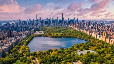 Photo of New York gamblers are already using crypto, law or not